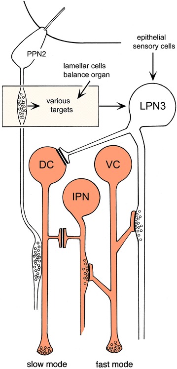 Fig. 3