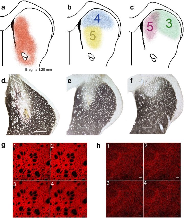 Figure 9.