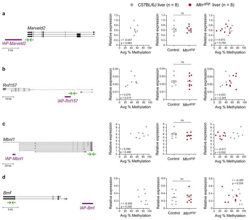 Extended Data Fig. 3