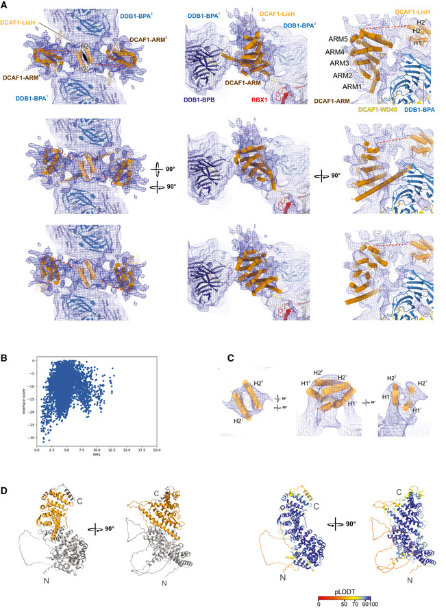 Figure EV3