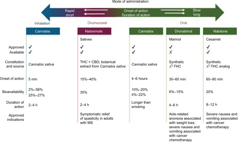 graphic file with name dhps-10-045Fig4.jpg