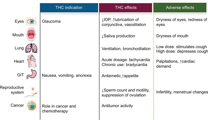 graphic file with name dhps-10-045Fig3.jpg