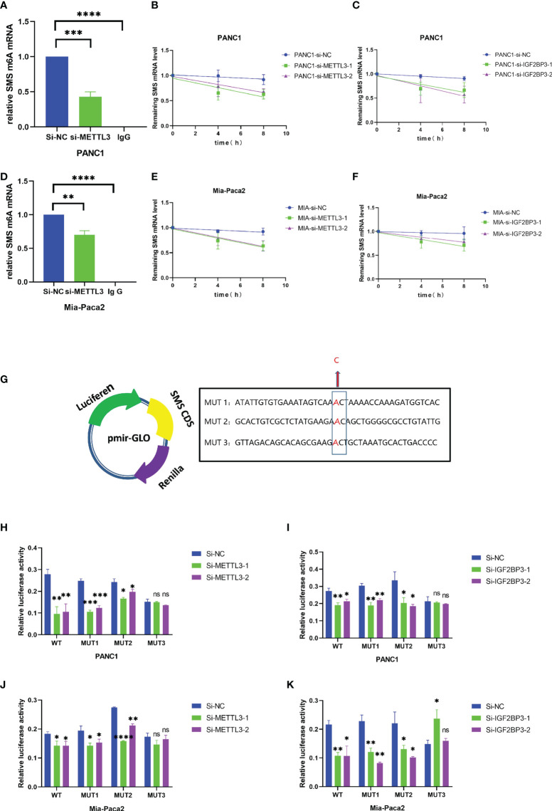 Figure 6