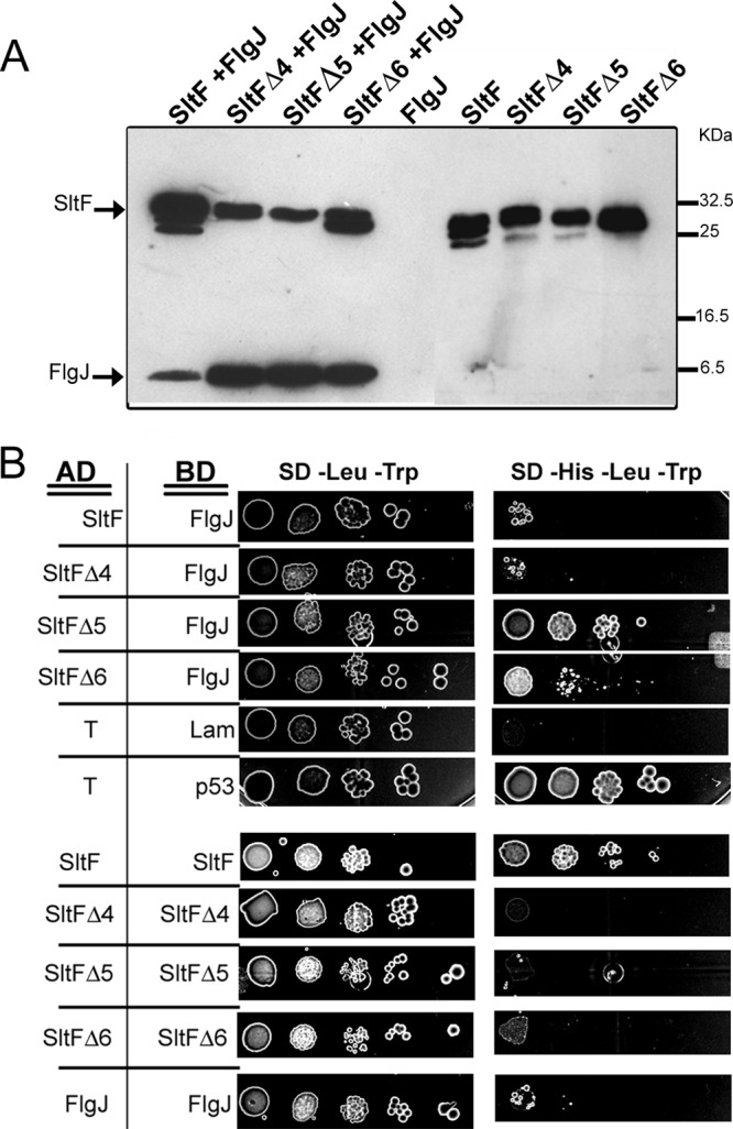 Fig 4