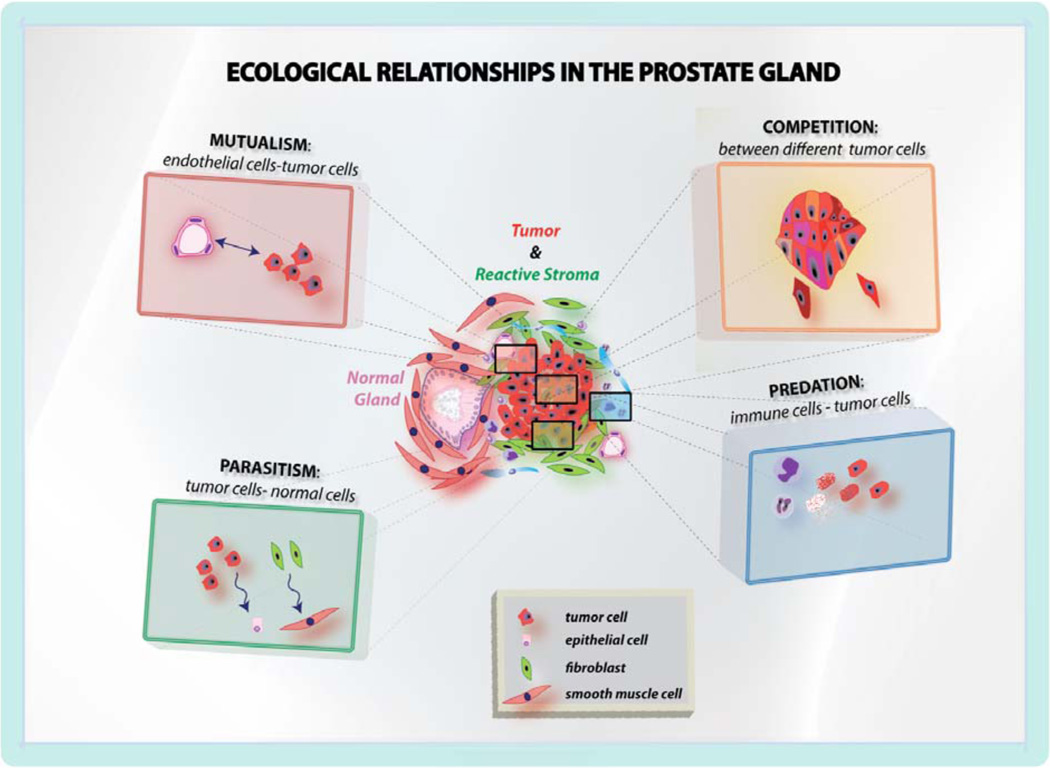 Fig. (4)