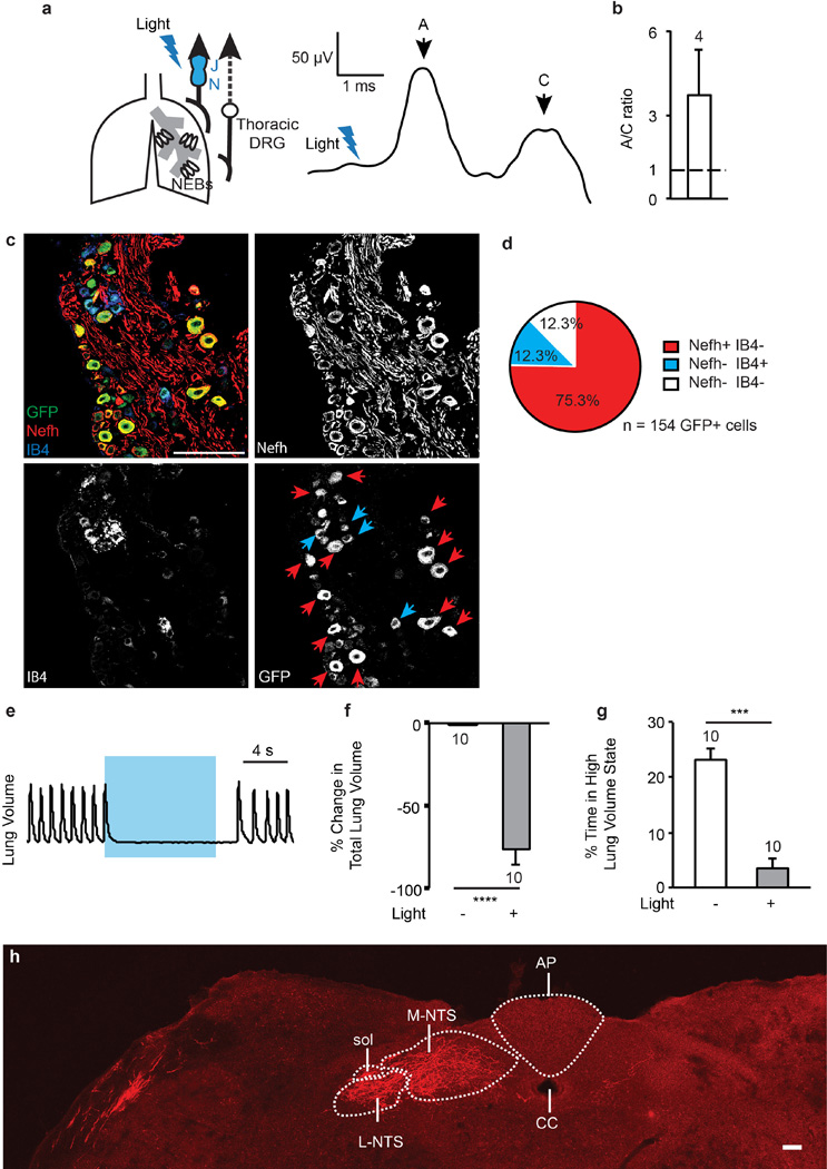 Extended Data Figure 6