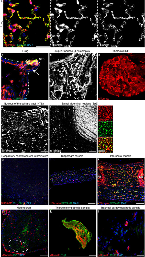 Extended Data Figure 3