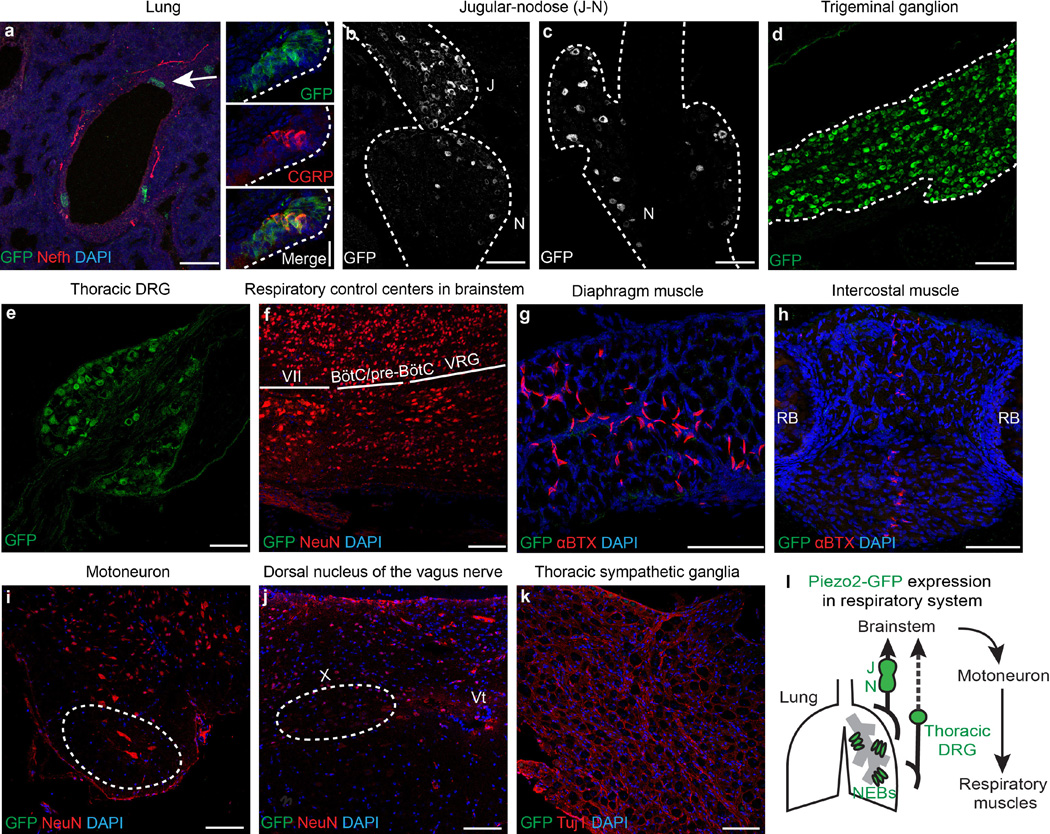Extended Data Figure 2