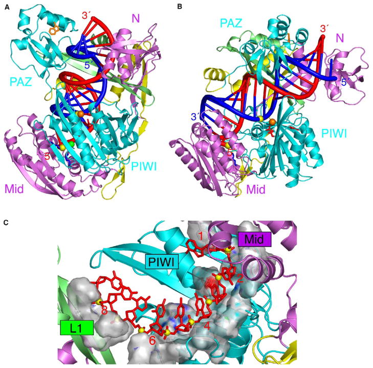 Figure 6