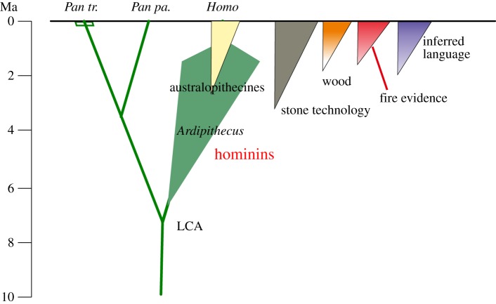 Figure 2.