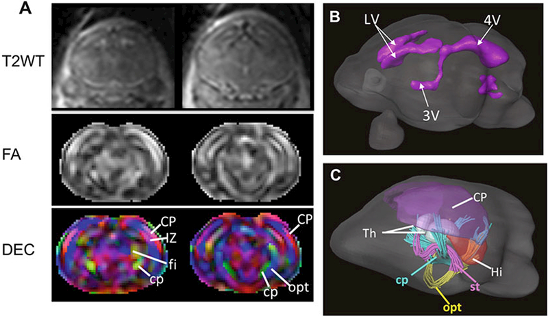 Fig. 6