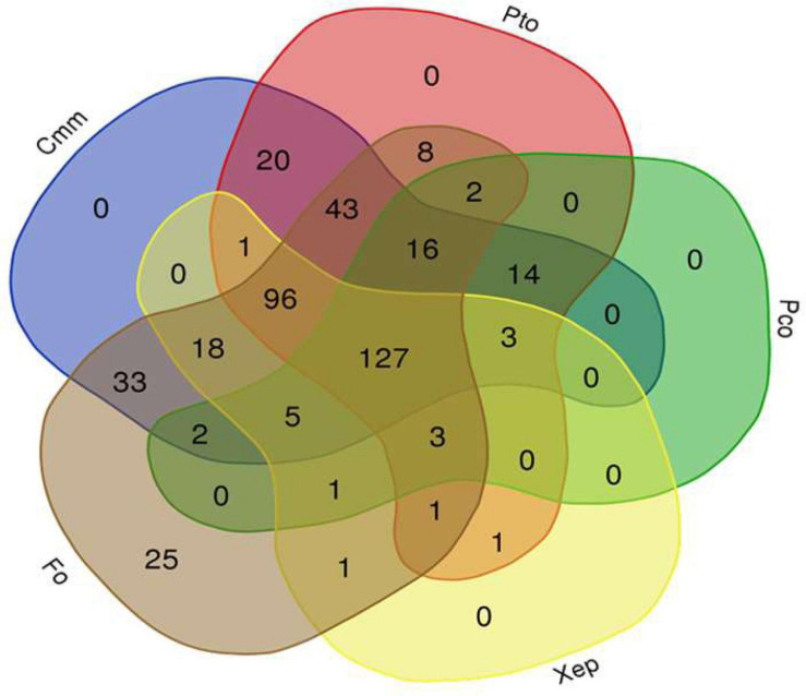 FIGURE 3