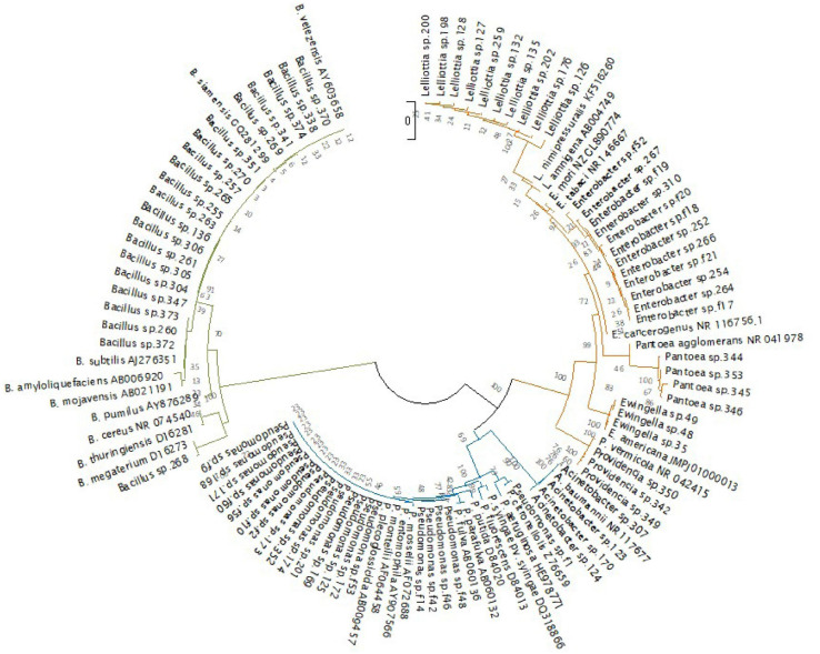 FIGURE 6