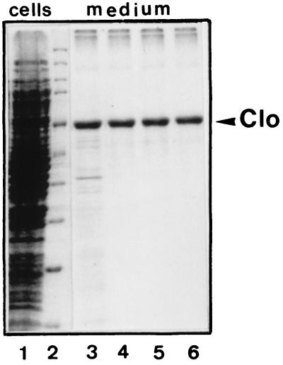 FIG. 7