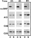 FIG. 6