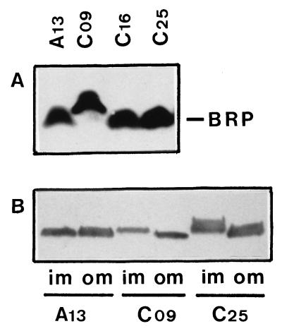 FIG. 5