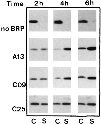 FIG. 6