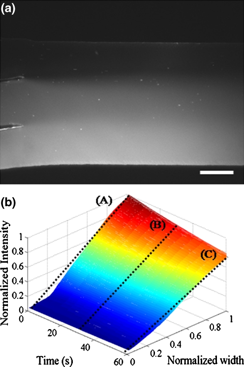 Fig. 4