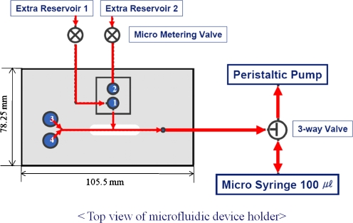 Fig. 2