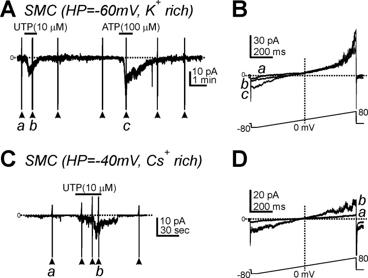 Fig. 3.