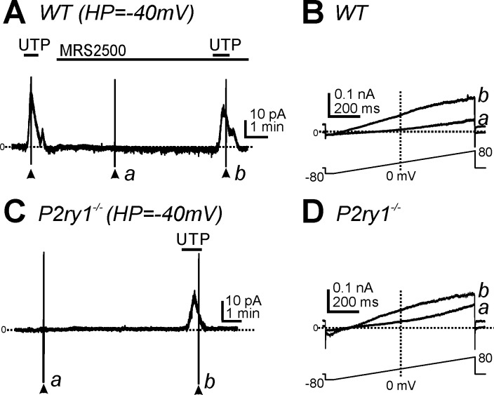 Fig. 6.