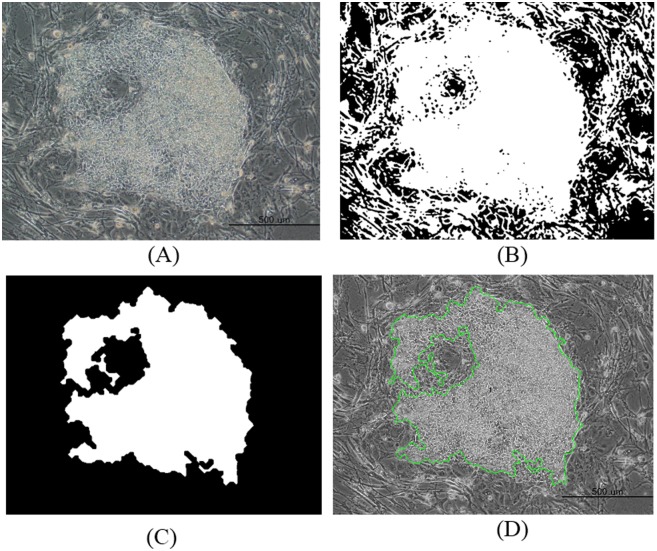 Fig 3