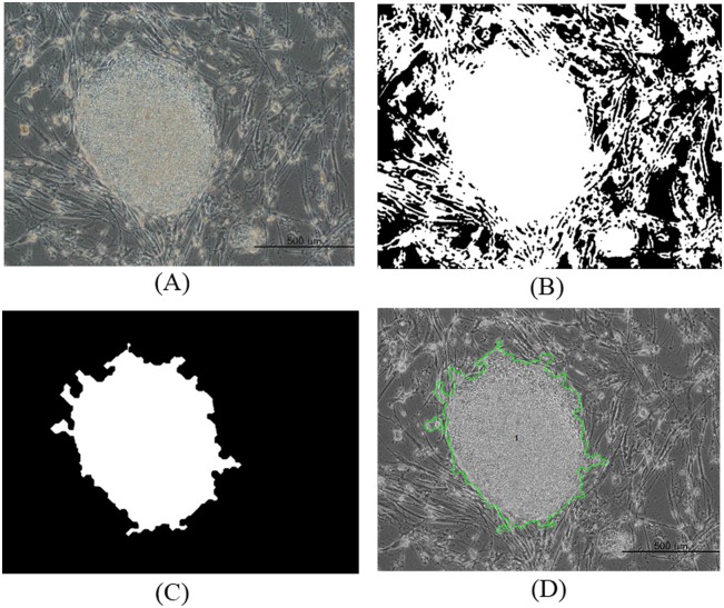 Fig 2