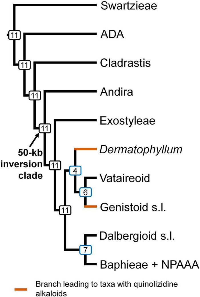 FIGURE 3