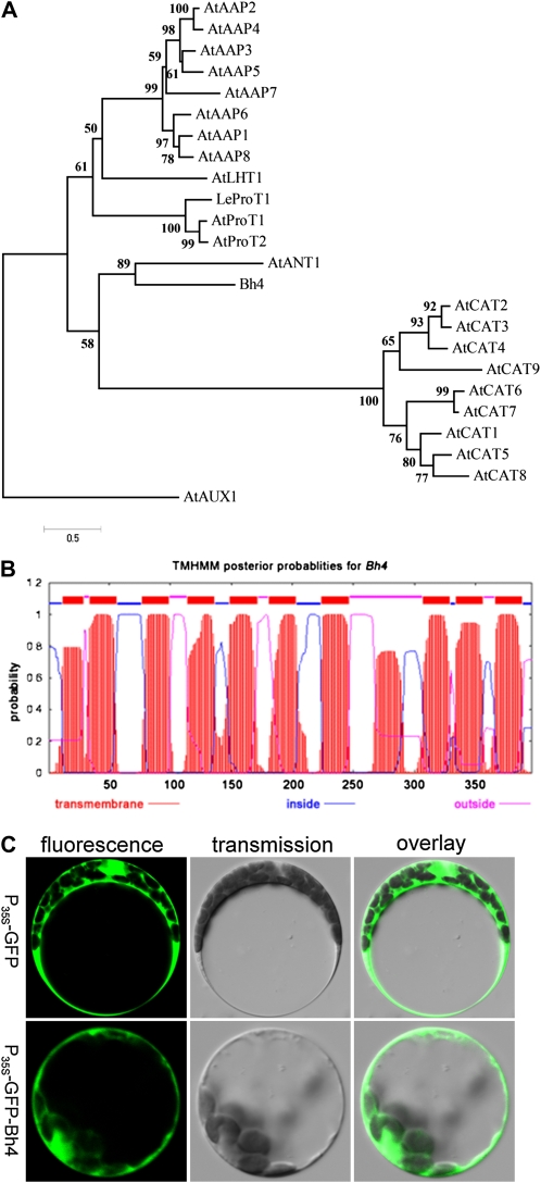 Figure 4.