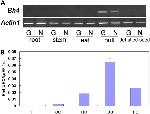 Figure 5.