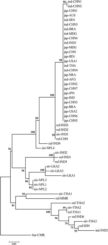 Figure 6.