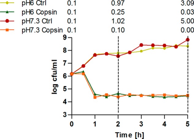 FIGURE 5.