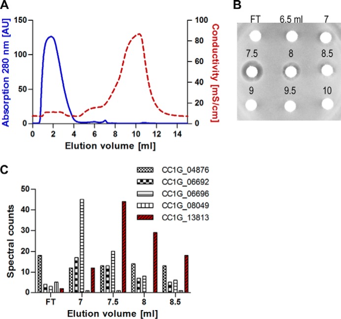 FIGURE 2.