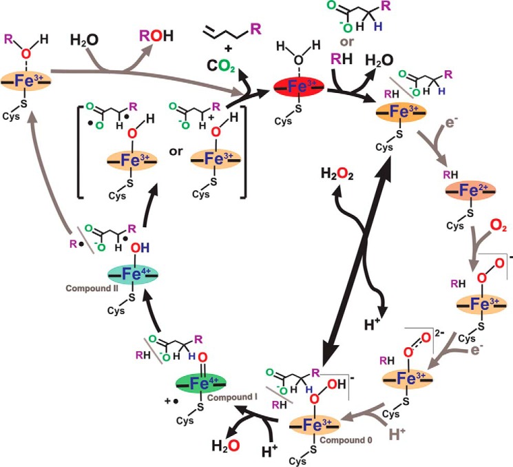 FIGURE 1.