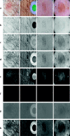 Fig. 4