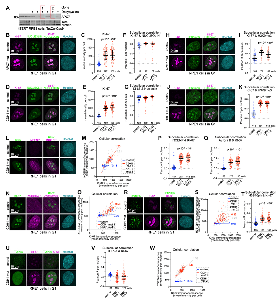 Figure 4: