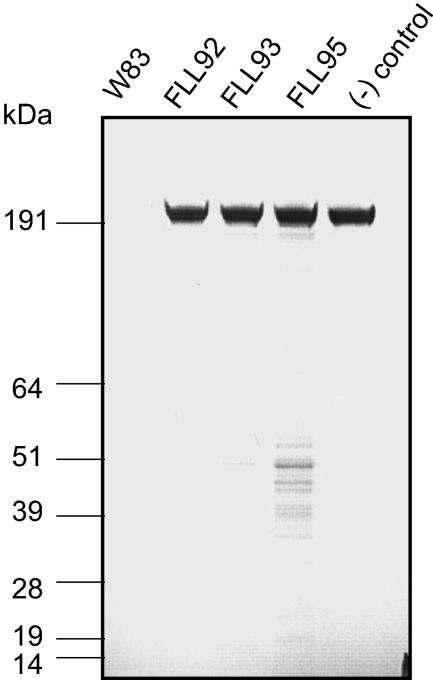 FIG. 9.