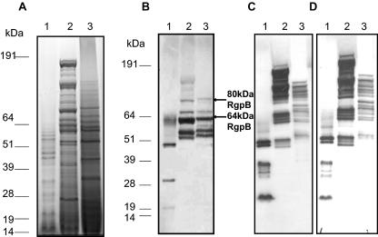 FIG. 7.