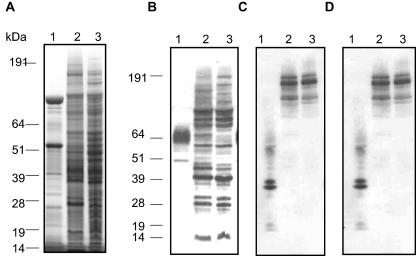 FIG. 8.