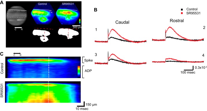 Fig. 3.