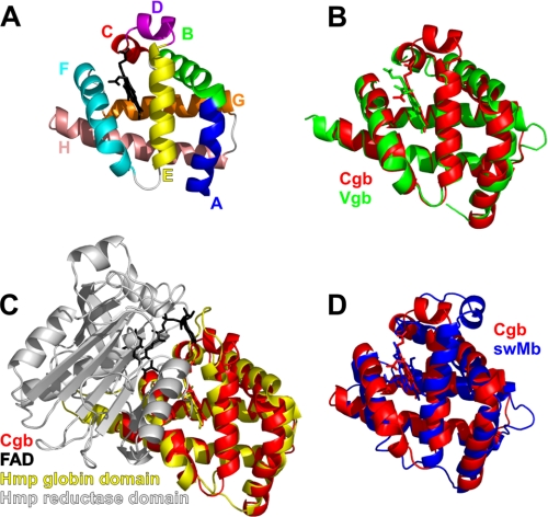 FIGURE 1.