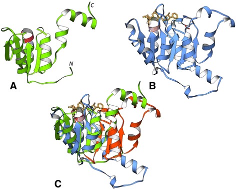 Figure 7