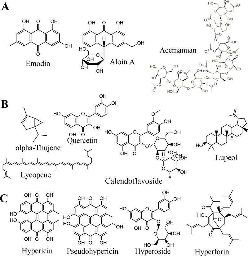 Figure 2.