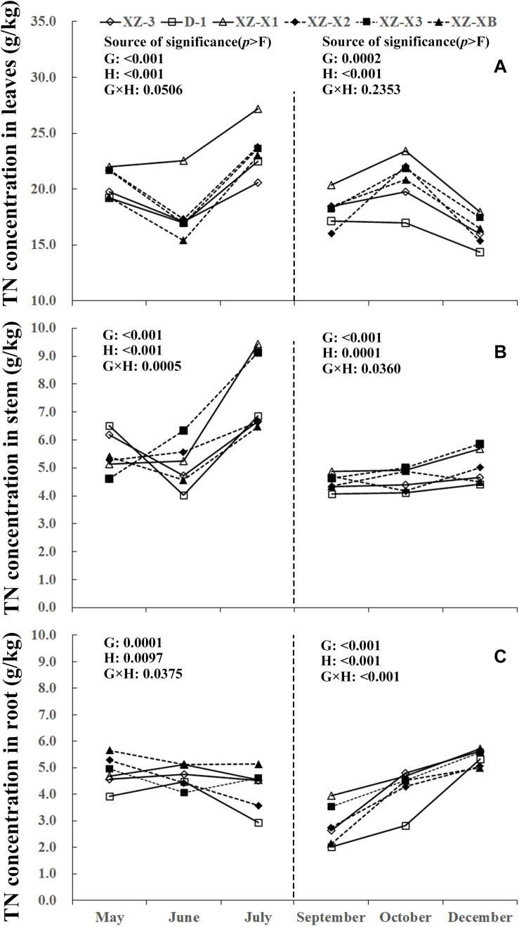 FIGURE 1