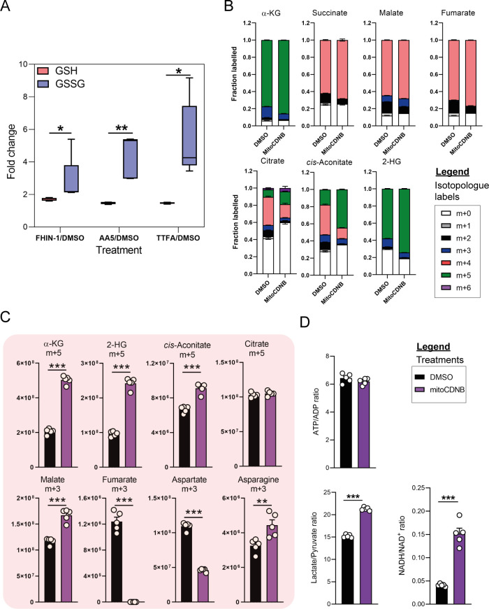 Figure 3—figure supplement 1.