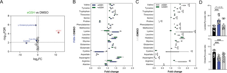 Figure 4—figure supplement 1.