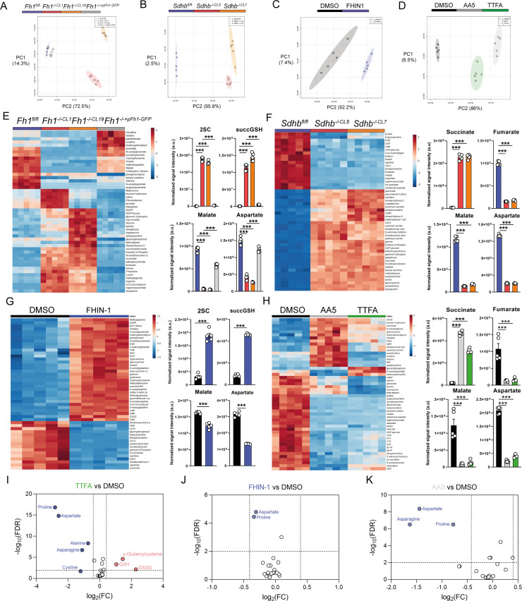 Figure 1—figure supplement 1.