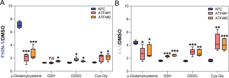 Figure 7—figure supplement 1.