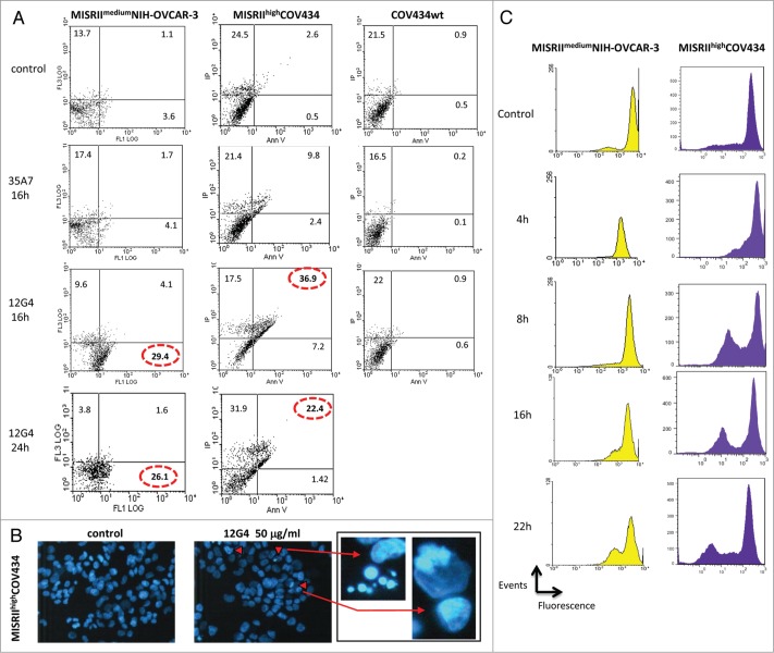 Figure 4.