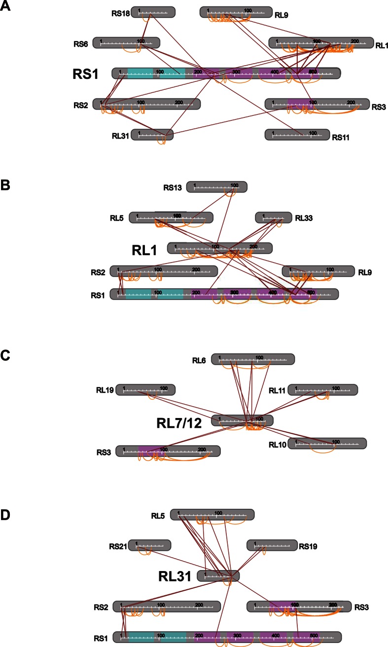 Figure 4—figure supplement 4.